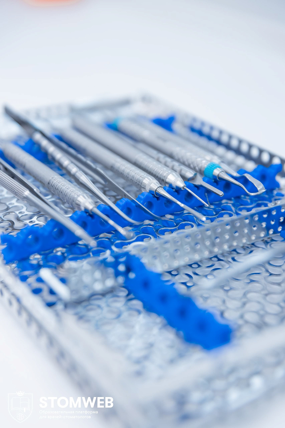 Оразова Лейли Юсуповна прошла курс по имплантологии и мягкотканной аугментации