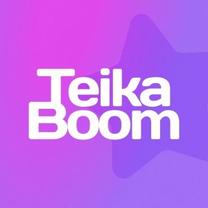 Логотип TeikaBoom