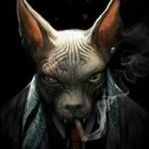 Владислав Тимошков