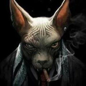 Владислав Тимошков