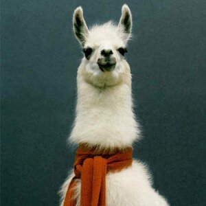 Екатерина К.